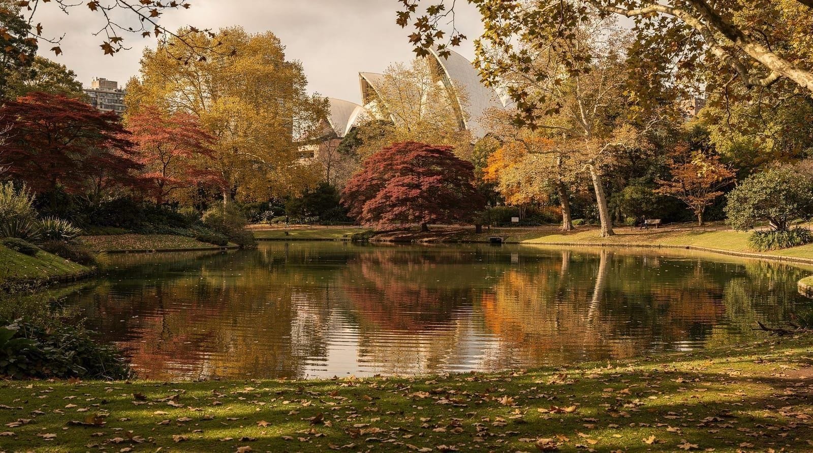 Why Sydney in autumn is the city's best-kept secret — Autumn in Sydney means clear skies, warm water, half the crowds, and festival se