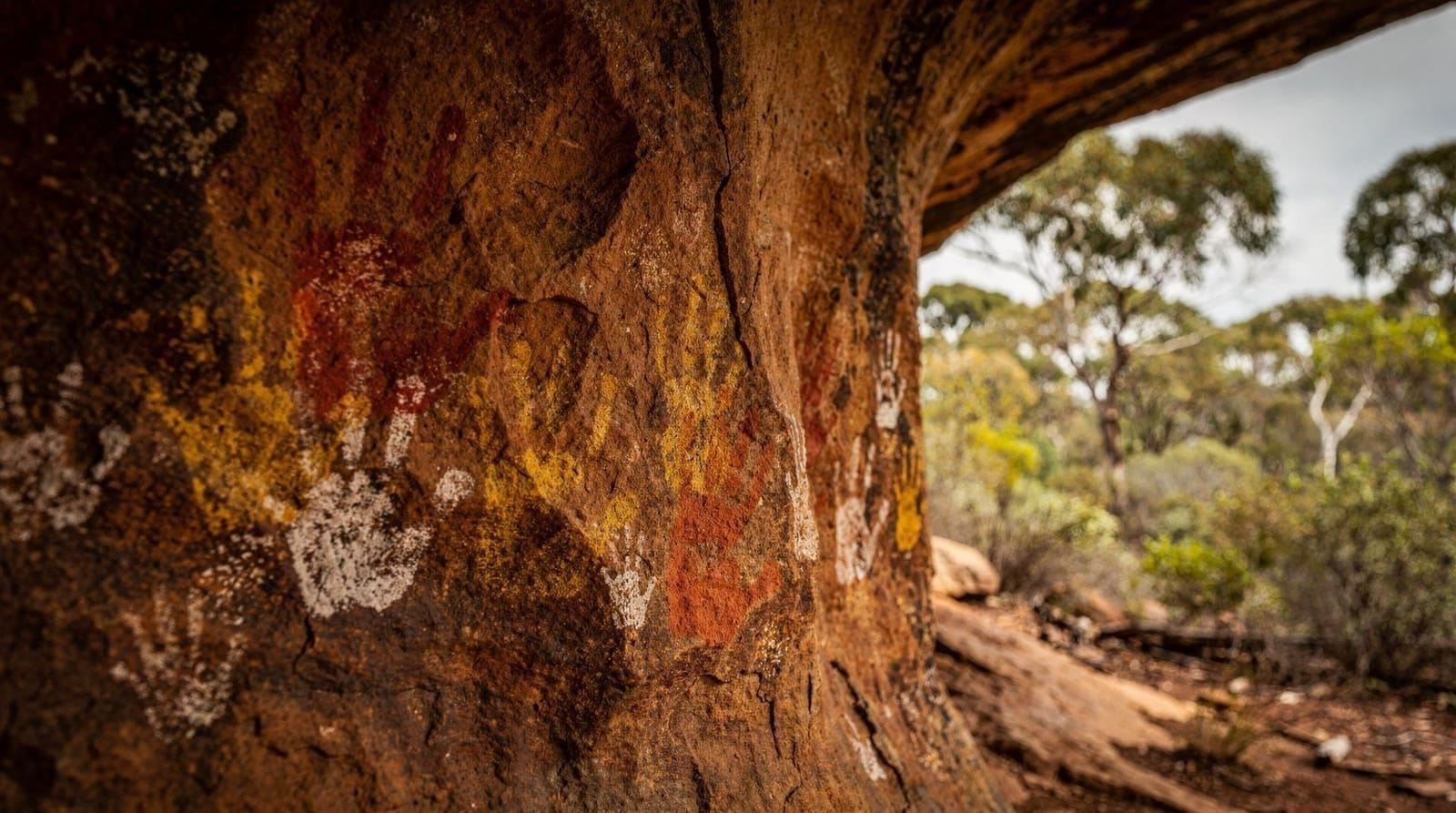 Aboriginal culture — Smoking ceremonies, Dreaming walks, BridgeClimb Burrawa and national park explor
