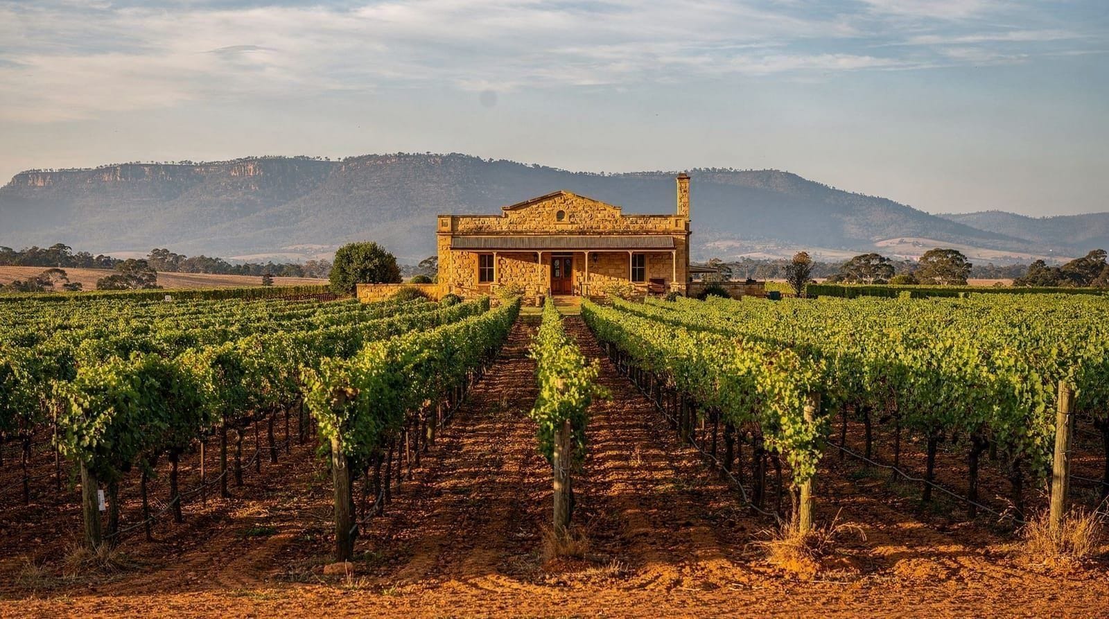 Wine and food — Hunter Valley wine tours, Sydney food trails, fish market visits and craft beer 