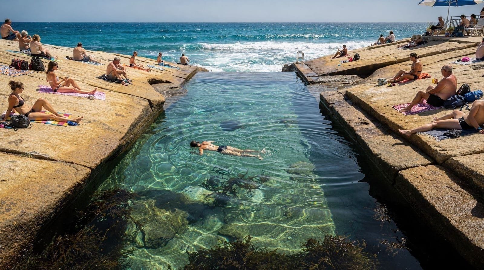 Clovelly Beach, Sydney