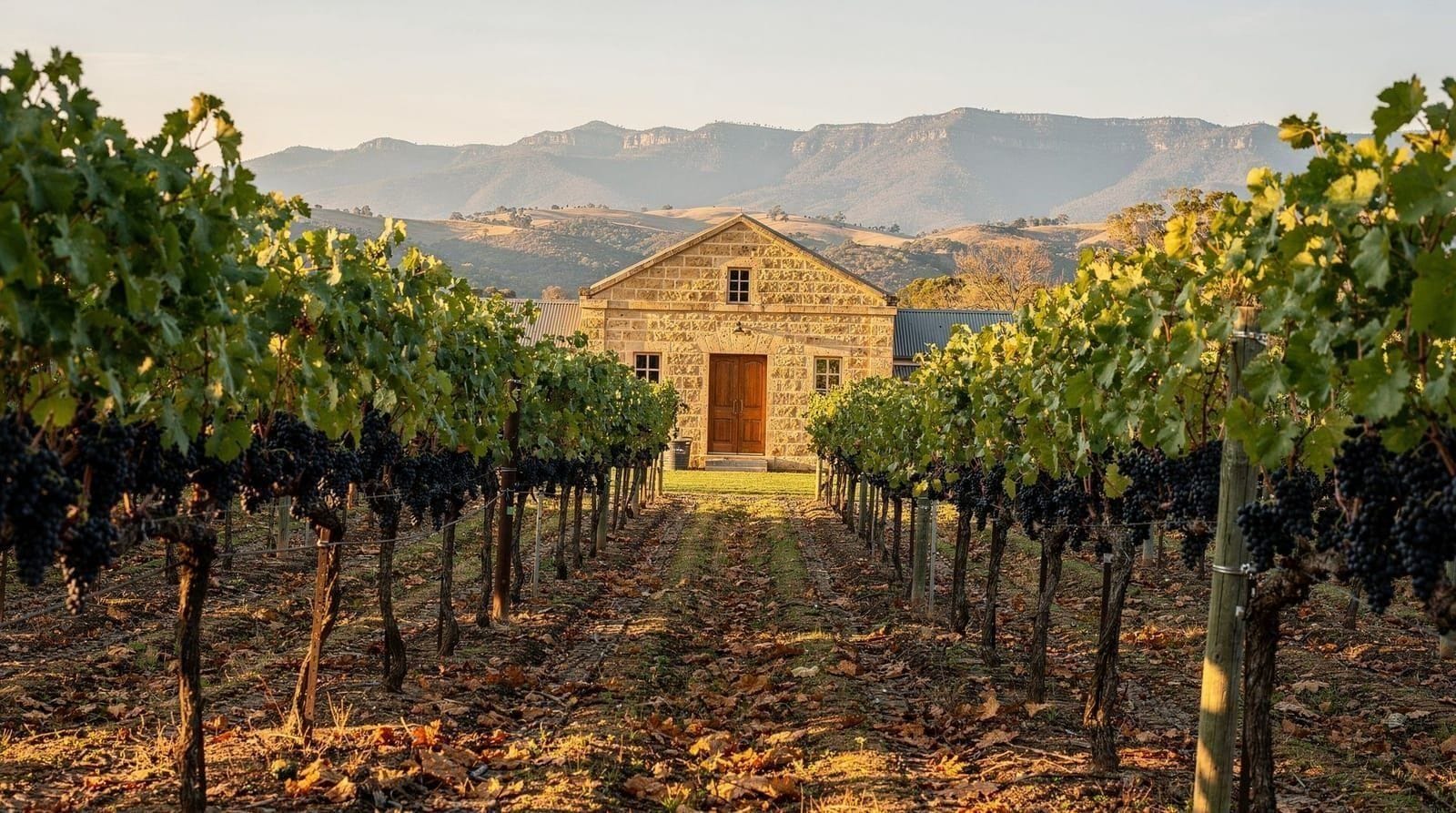 Hunter Valley wine region day trip from Sydney, Sydney