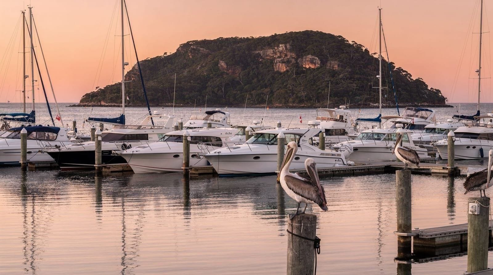Nelson Bay — Port Stephens' main hub, Sydney