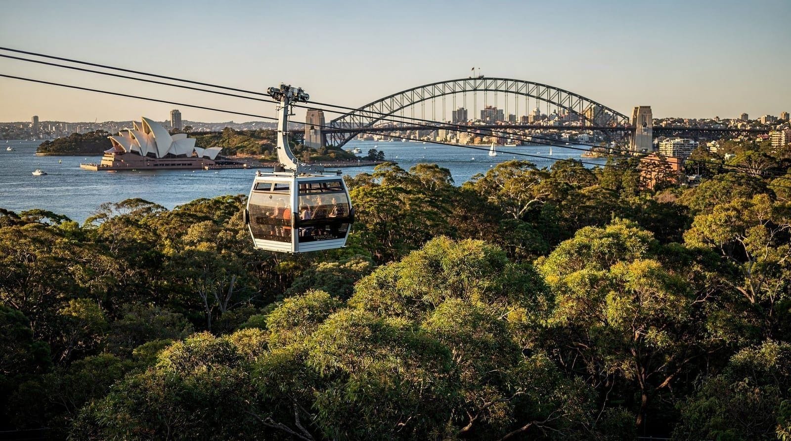 Best zoos and aquariums in Sydney — comparison guide — Compare Sydney's top wildlife venues — Taronga Zoo, SEA LIFE Aquarium, WILD LIFE