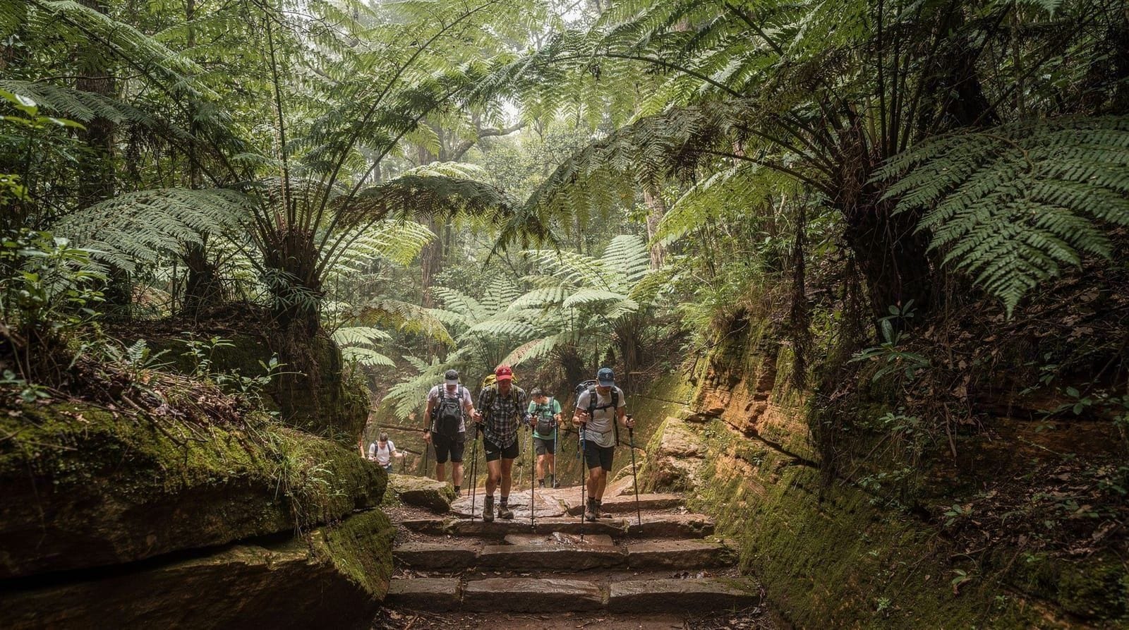 Best hikes in the Blue Mountains — trails from easy to hard — The best Blue Mountains hikes ranked by difficulty — from the Echo Point plateau