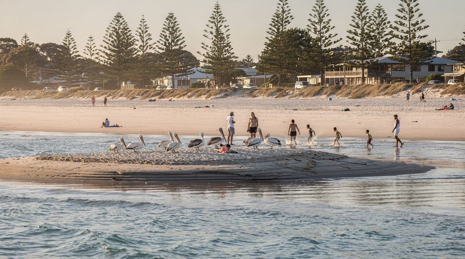 Central Coast day trip from Sydney — beaches, national parks, and The Entrance — Central Coast day trip from Sydney — train times, best beaches, Brisbane Water N