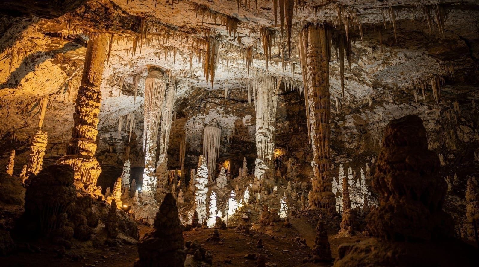 Sydney: Blue mountain and Jenolan day trip from Sydney