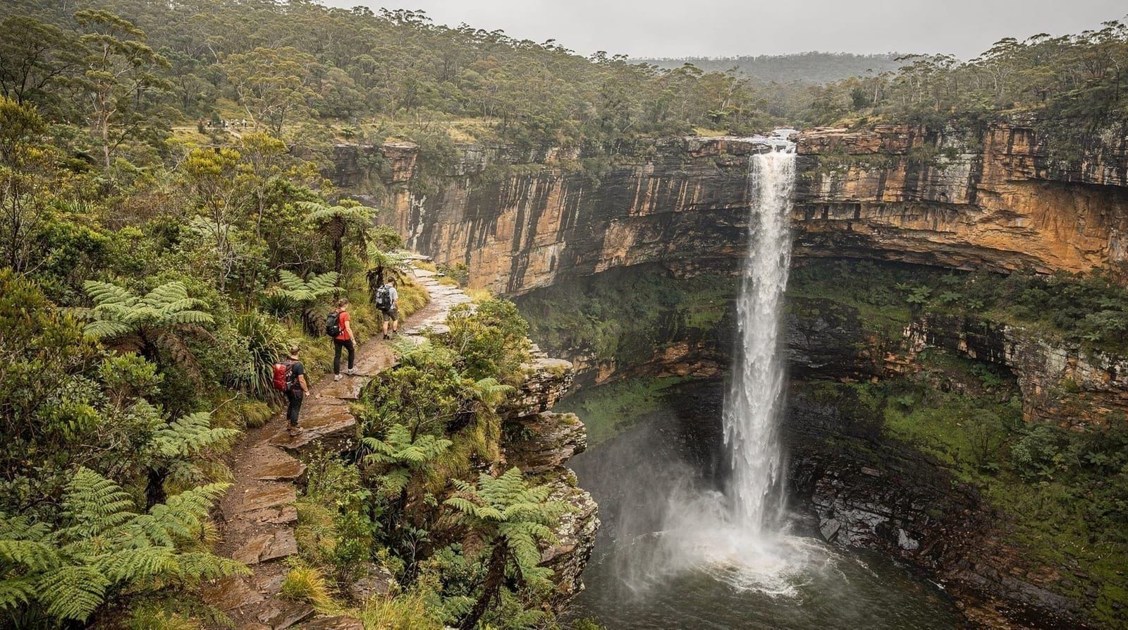 Wentworth Falls — walks, lookouts, and how to visit — Wentworth Falls visitor guide — the best walking tracks, viewpoints, how to get 